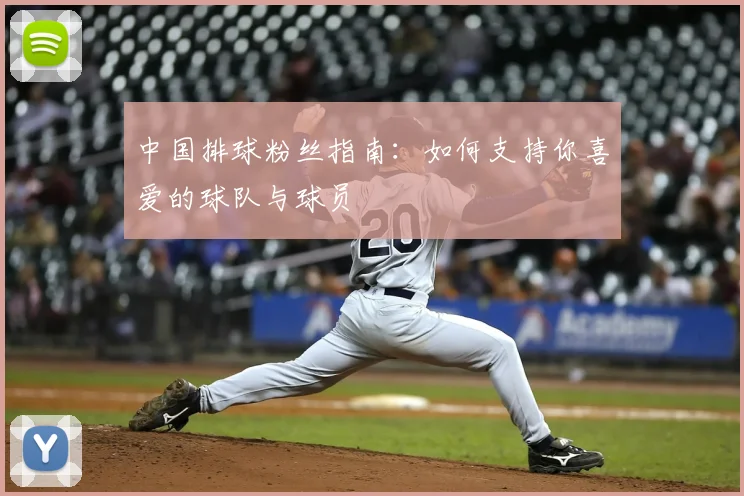 中国排球粉丝指南:如何支持你喜爱的球队与球员