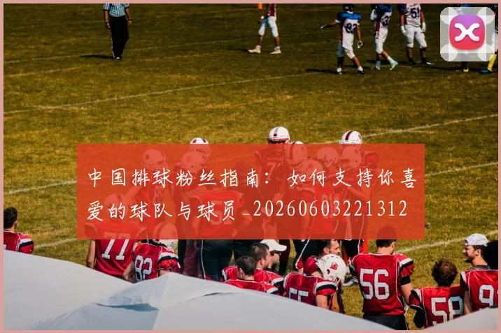 中国排球粉丝指南:如何支持你喜爱的球队与球员_20260603221312