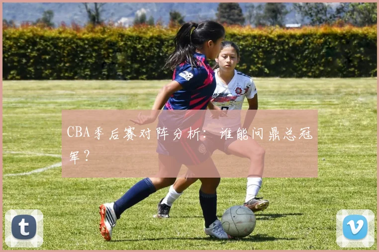 CBA季后赛对阵分析：谁能问鼎总冠军？